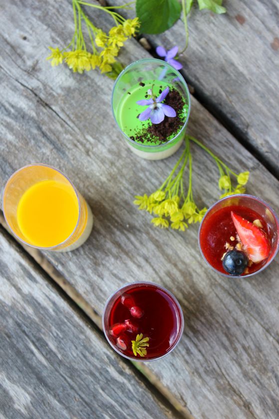 Panna cotta: spalvos ir skoniai