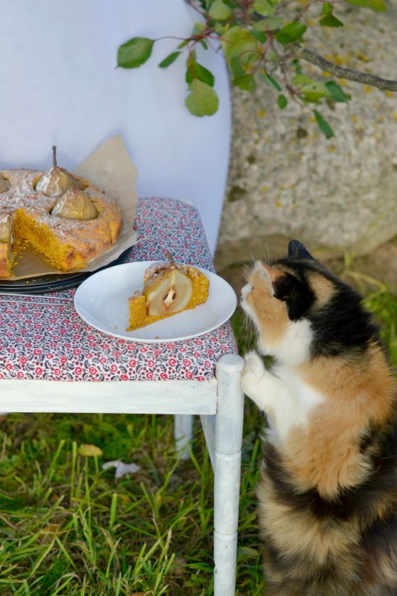 Morkų pyragas su kriaušėmis