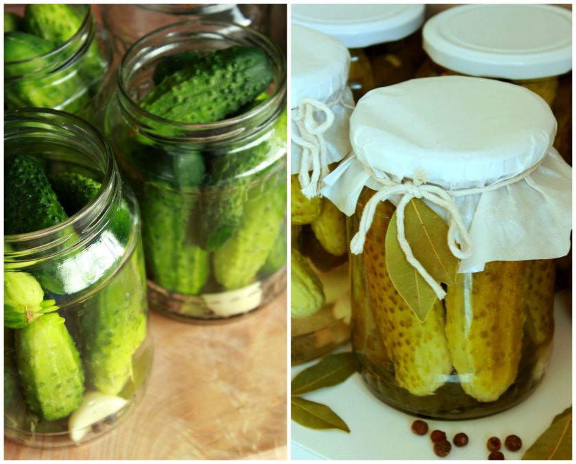 Marinuoti agurkai ir VIČI koldūnai