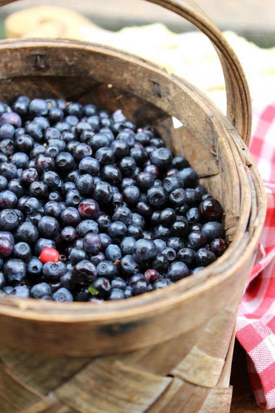 Virtinukai su mėlynėmis