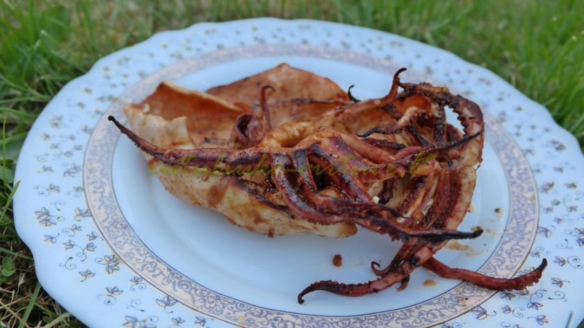 Ant laužo kepti kalmarai (marinatas žuviai/jūros gėrybėms)