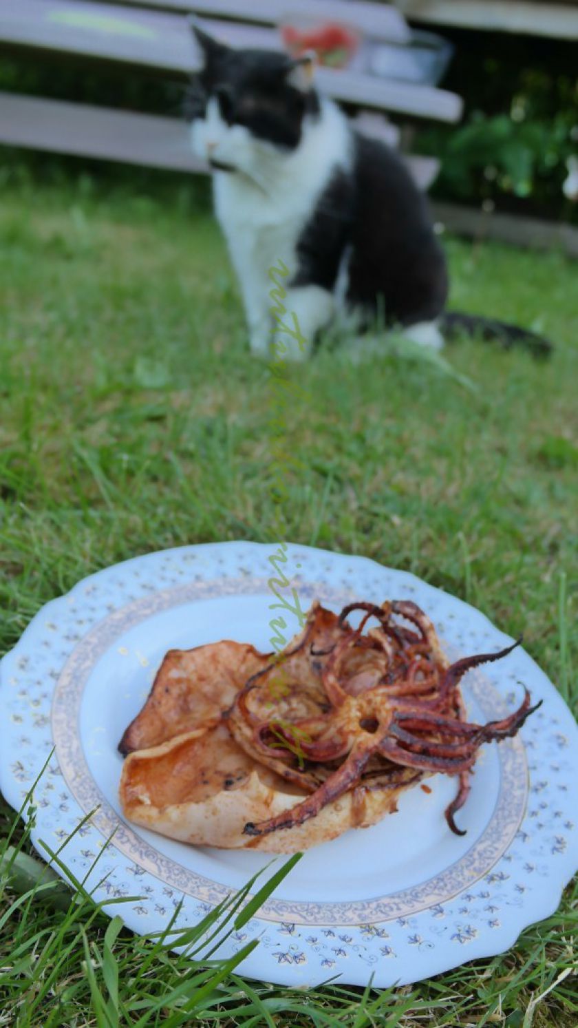 Ant laužo kepti kalmarai (marinatas žuviai/jūros gėrybėms)