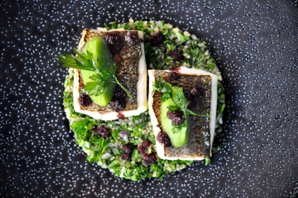 5 įdomūs faktai apie vilkžuvę