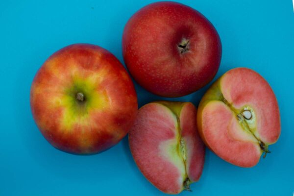 Šis vaisius taps tikra kalėdinio stalo žvaigžde: natūraliai rausvi obuoliai nustebins ne tik savo išvaizda