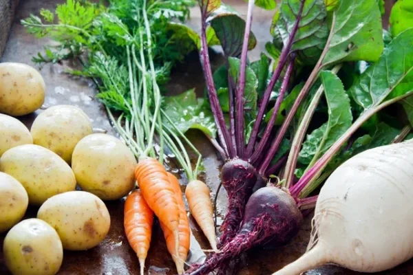 Šakninių daržovių gidas: kurią kepti, kurią trinti į sriubą, o kurią – marinuoti?