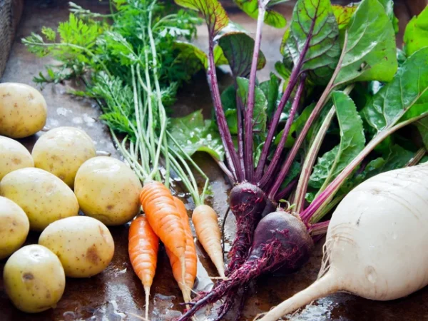 Šakninių daržovių gidas: kurią kepti, kurią trinti į sriubą, o kurią – marinuoti?